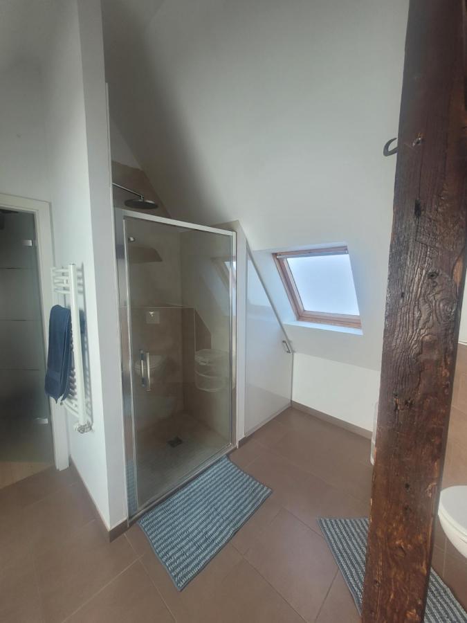 Studio 50M2 Au Bord De L'Eau A Strasbourg Ngoại thất bức ảnh