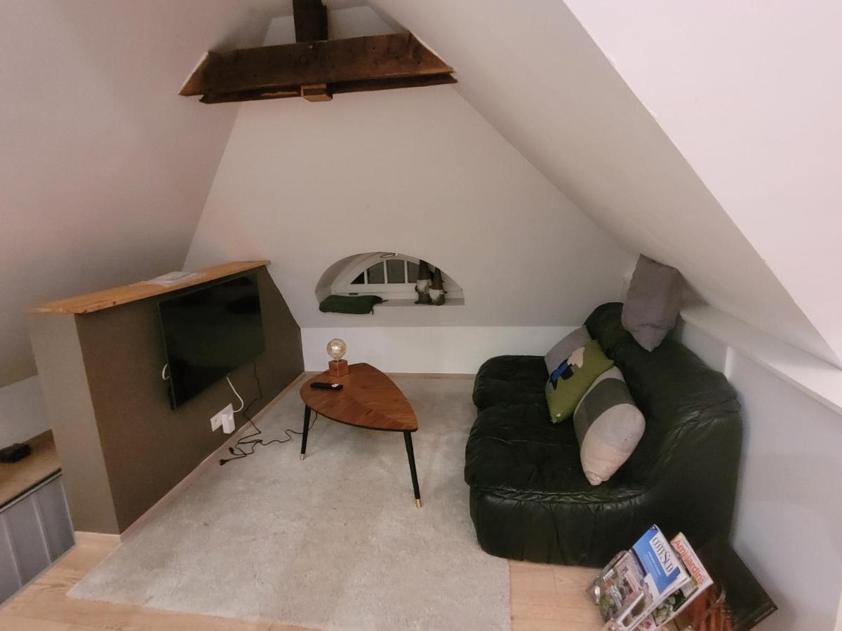 Studio 50M2 Au Bord De L'Eau A Strasbourg Ngoại thất bức ảnh