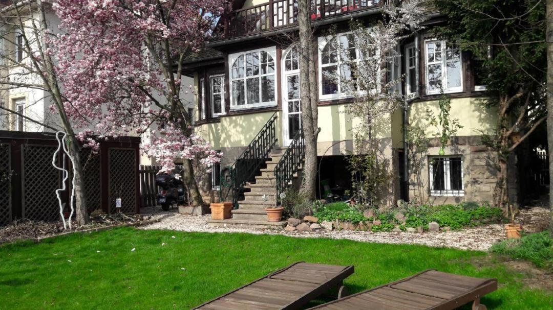 Studio 50M2 Au Bord De L'Eau A Strasbourg Ngoại thất bức ảnh