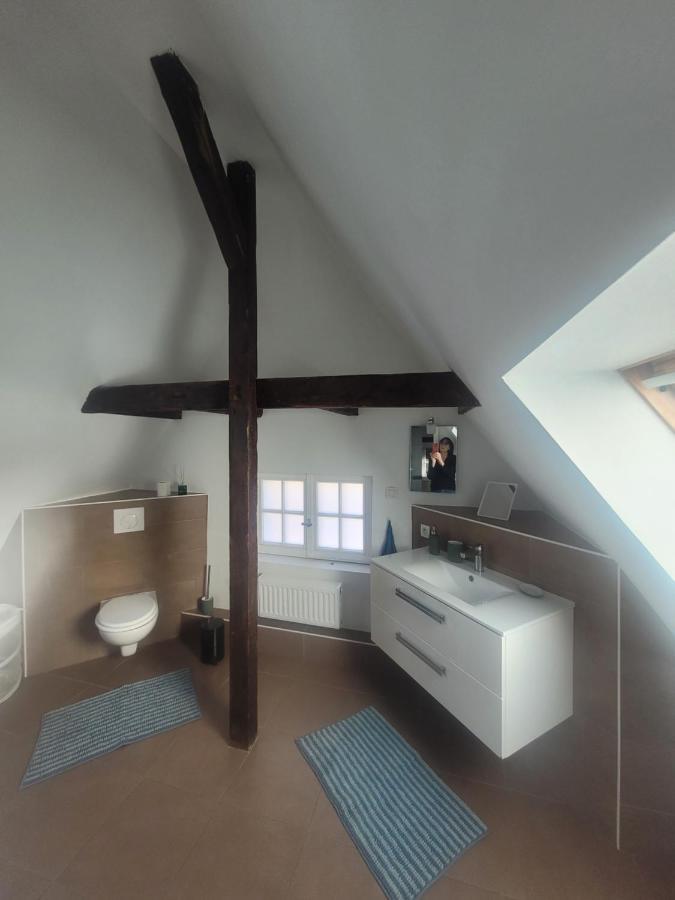 Studio 50M2 Au Bord De L'Eau A Strasbourg Ngoại thất bức ảnh